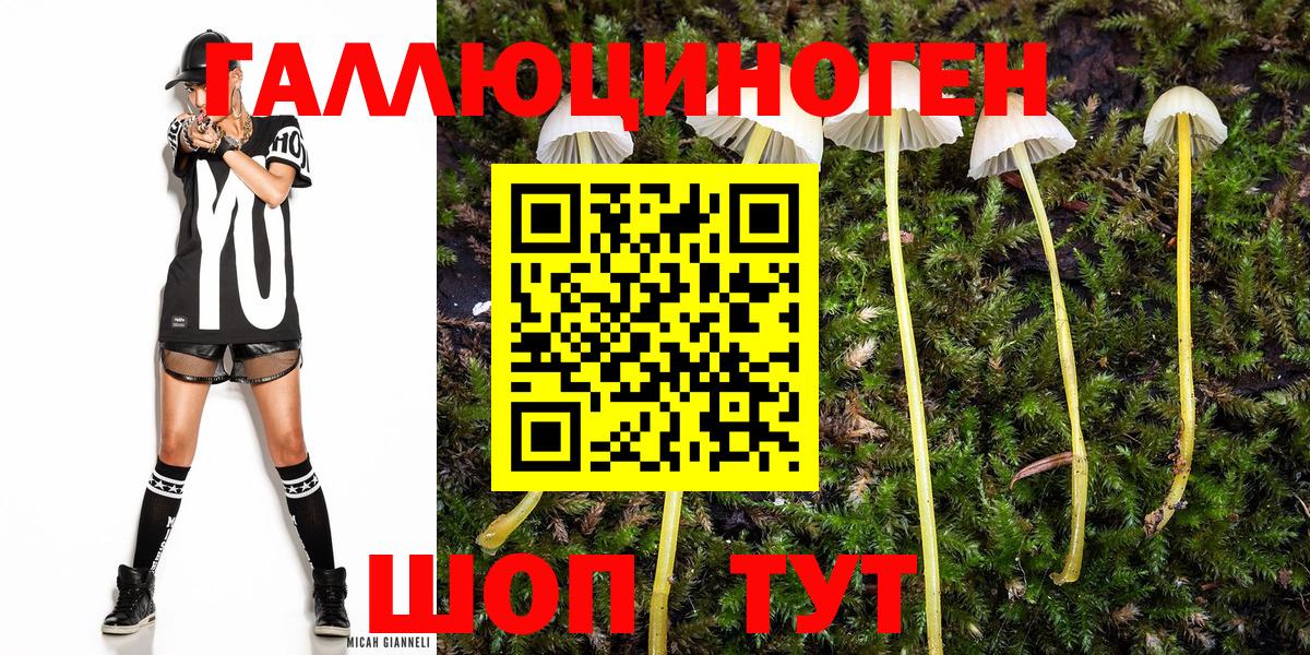 Псилоцибиновые грибы мухоморы  Вход с VPN  Галлюциногенные грибы Psilocybe  Арзамас 