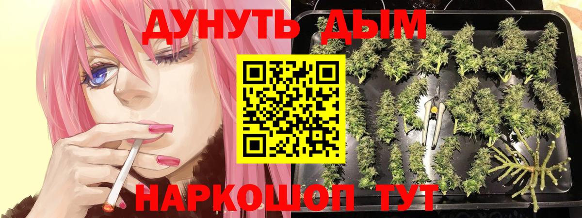 Шишки марихуана индика Арзамас